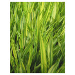 grass personalized flyer