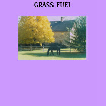 GRASS FUEL - shirt by Horseshoes3 GRASS FUEL - shirt