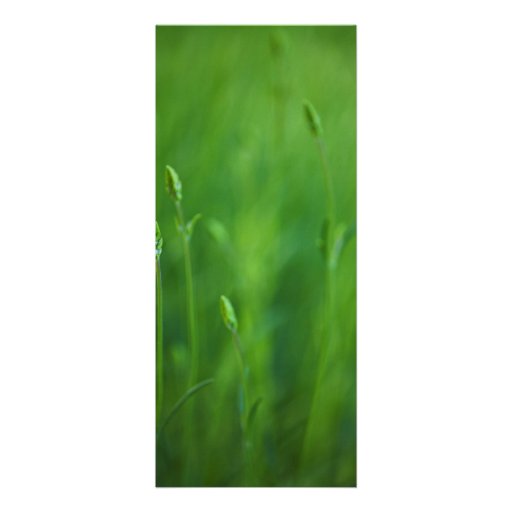 Grass - Green Grasses Background Template Invitations