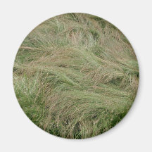 grass hair fridge magnet