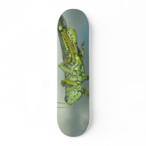 Grass hopper board skateboards