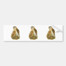 Grass Owl Bumper Sticker