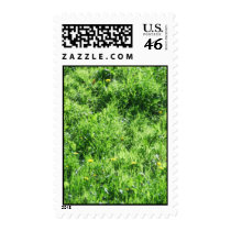 Grass stamps