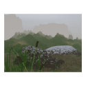 Grass posters