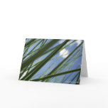 Grass Prism  - Notecard