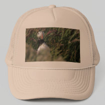 Grass Puffin Hat