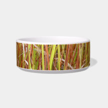 Grass sawgrass background florida plant pet water bowls