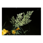 Grass seed ~ ATC Business Card Templates