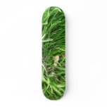 Grass Skateboard