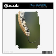 Grass Snake Decals For iPhone 2G