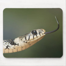 Grass Snake Mousepad