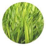 grass round sticker