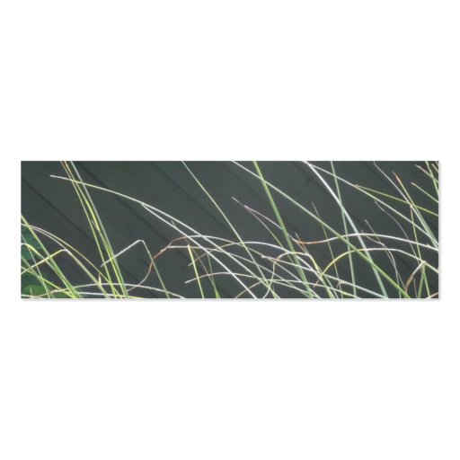Grasses Business Card (front side)