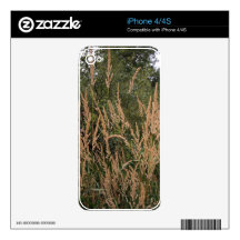 Grasses & Green iPhone 4 Skins