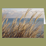 Grasses cards