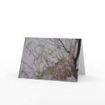 Grasses in Snow Greeting Card