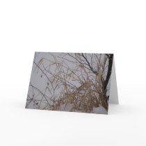 Grasses in Snow Greeting Card