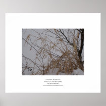 Grasses in Snow Poster