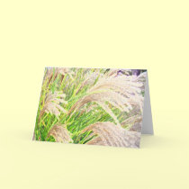 Grasses in the Wind cards
