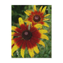 Grasshopper and Flowers postcards