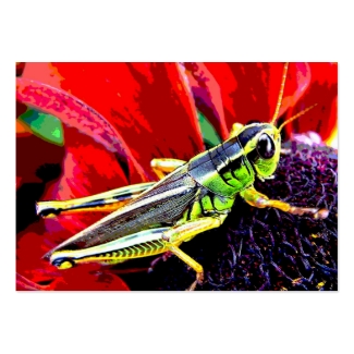 Grasshopper ATC