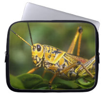 Grasshopper, Everglades National Park, Florida, Computer Sleeves