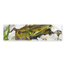 Grasshopper Insect Bumper Stickers