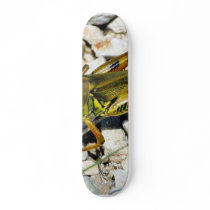 Grasshopper Insect skateboards