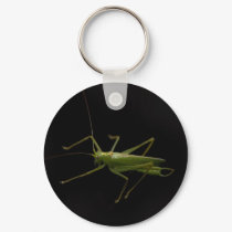 grasshopper keychains by VioDePhoto grasshopper keychains