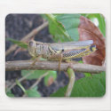 Grasshopper mousepads by iiiyaaa Grasshopper mousepads