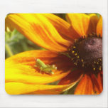 Grasshopper Mousepads