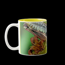 Grasshopper Mug mugs
