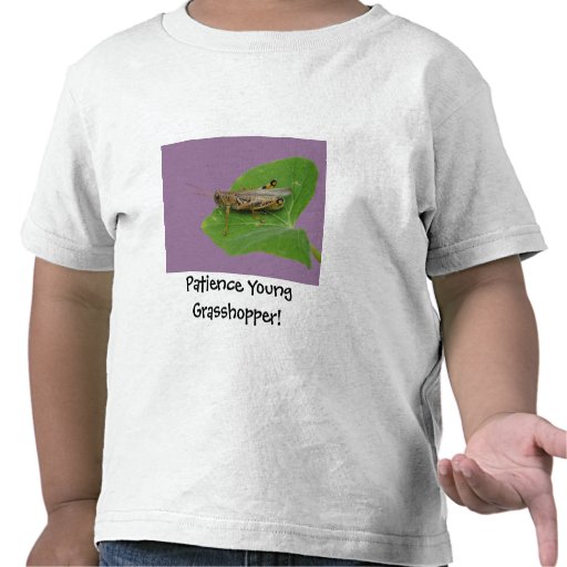 Grasshopper On A Leaf Tee Shirt