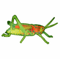 Grasshopper photo sculptures