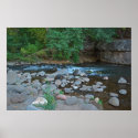 Grasshopper Point 1310 posters