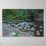 Grasshopper Point 1310 Posters