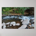 Grasshopper Point 1316 posters