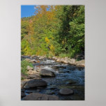 Grasshopper Point 1325 Poster