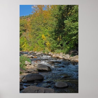 Grasshopper Point 1325 Poster by SedonaPosters