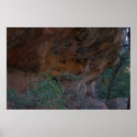 Grasshopper Point 1360 posters