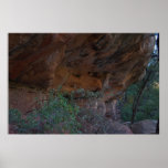 Grasshopper Point 1360 Poster