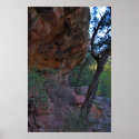Grasshopper Point 1361 posters