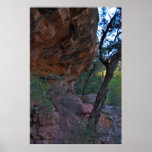 Grasshopper Point 1361 Posters