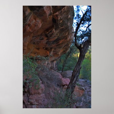Grasshopper Point 1361 Posters by SedonaPosters