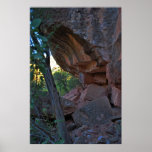 Grasshopper Point 1364 Posters