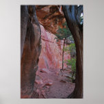 Grasshopper Point Cave 1370 Posters