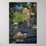 Grasshopper Point River 1432 Print
