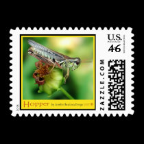 Grasshopper - Postage postage