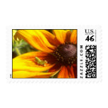 Grasshopper Postage Stamps