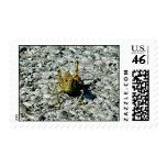 Grasshopper Stamp